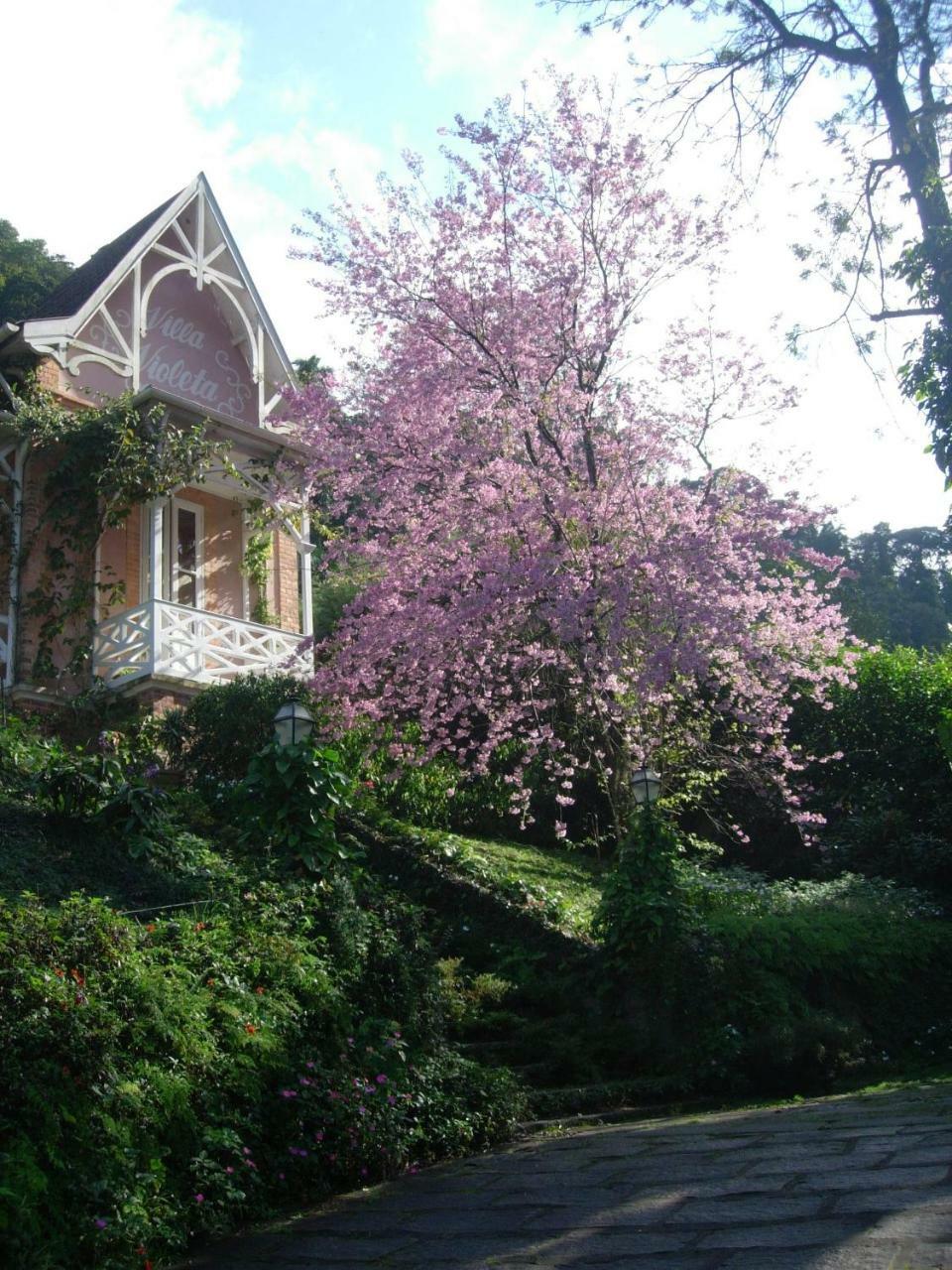 Villa Violeta Petrópolis Exterior foto